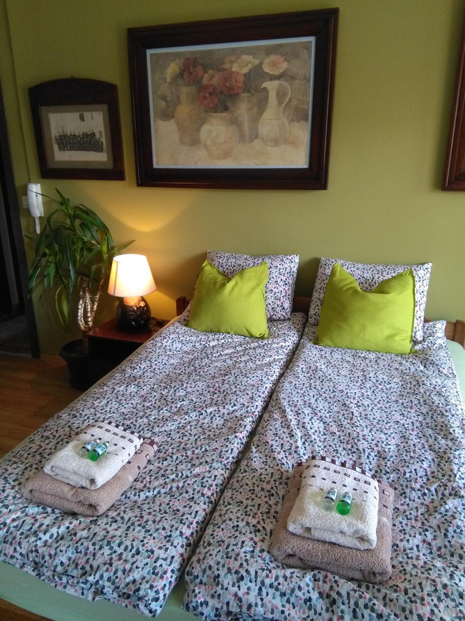 Jovanovic Guest House Ohrid Extérieur photo